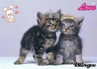 /album/pianetagatti/images11-jpg/