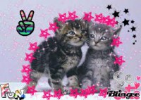 /album/pianetagatti/images12-jpg/