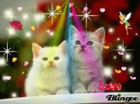 /album/pianetagatti/images17-jpg/